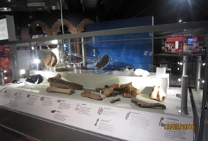 Norton priory  museum object mounts for burial finds